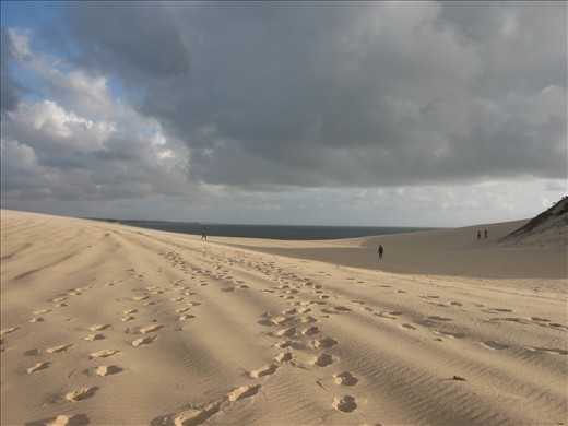 Natal, Rio Grande do Norte: 5:30 am.  Accompanied by a few stray dogs, joggers meet for a run in the dunes before the intense heat of the day.
