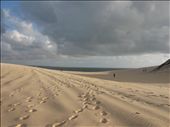 Natal, Rio Grande do Norte: 5:30 am.  Accompanied by a few stray dogs, joggers meet for a run in the dunes before the intense heat of the day.
: by lyd018, Views[339]