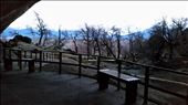 by lyn, Views[482]