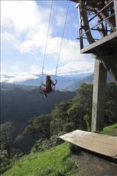 by lyndseywhale, Views[226]