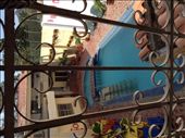 by lynn, Views[265]