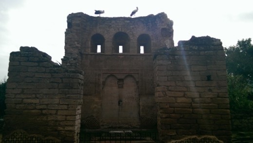 The stork kings of the Mosque