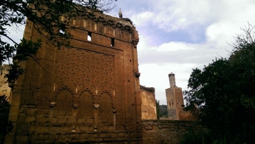 Mosque of Chellah