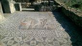 House of Venus: by macedonboy, Views[221]