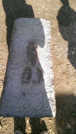 The Volubilis Penis. Phallic symbol to indicate a brothel
