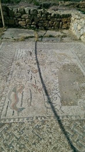 Mosiac at House of Orpheaus