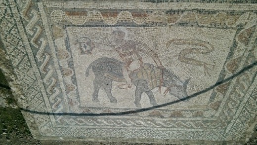 Mosiac of boar at House of Orpheaus