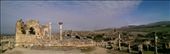 The Volubilis Basillica: by macedonboy, Views[247]