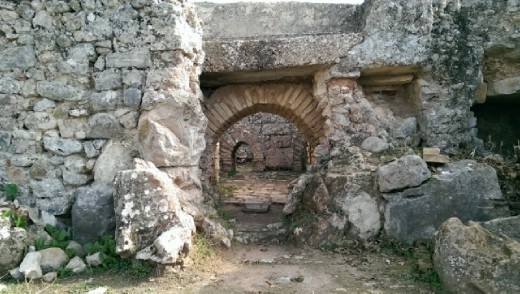 The hot house of a mansion