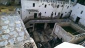 Open Air Tanneries: by macedonboy, Views[290]
