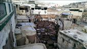 Open Air Tanneries: by macedonboy, Views[959]