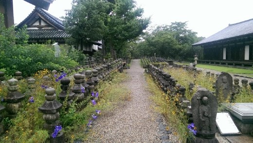 Gangoji Temple -  Garden
