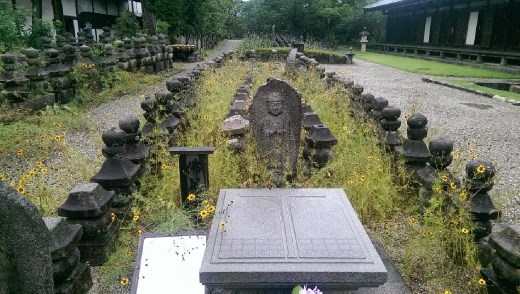 Gangoji Temple -  Garden