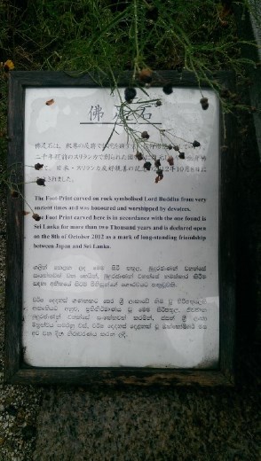 Gangoji Temple -  Garden description