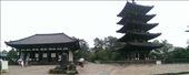 Todaiji Temple - View of both Eastern Golden Hall and The Five Storied Pagoda: by macedonboy, Views[244]