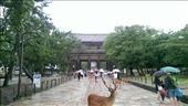 Todaiji Temple - Entrance: by macedonboy, Views[205]