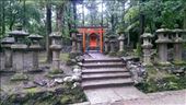 Nara Park - Some random shrine: by macedonboy, Views[288]