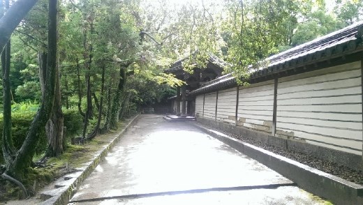 Toshodaiji Temple - Corridor leadin up to to Kaidan.