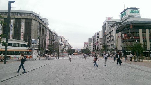 View from Himeji station. The castle is far off in the distance.