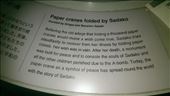 Description of paper cranes folded by Sadako: by macedonboy, Views[165]