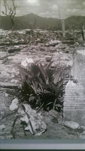 Hope for Hiroshima: by macedonboy, Views[322]