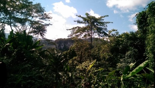 A limestone formation in Puerto Pricesa
