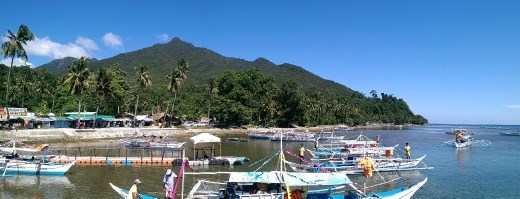 Area around the port