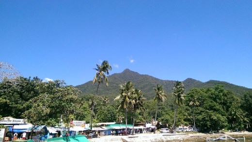 Area around the port