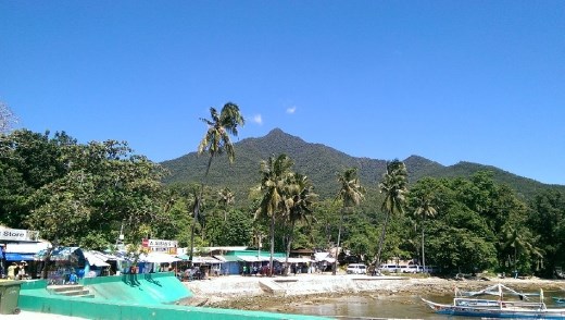 Area around the port