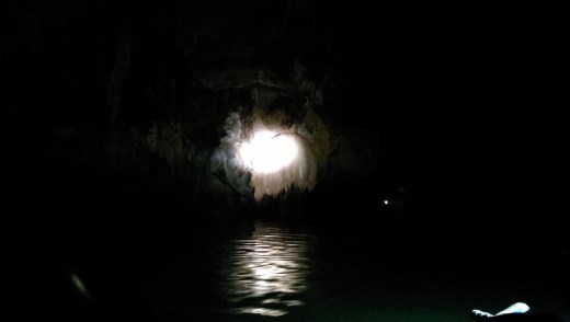 Looks like a jellyfish