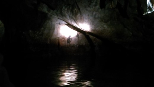 Looks like giant gecko