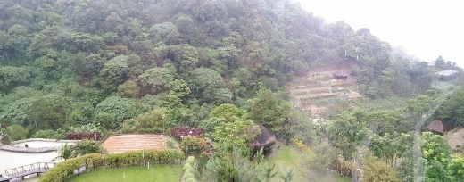 Ben Cab Museum - View From