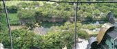 View of west from top of Osaka Castle: by macedonboy, Views[305]