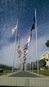 Flags at Reconcilation Place: by macedonboy, Views[244]