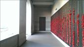 Names of soldiers who died and war in which they faught: by macedonboy, Views[201]