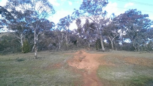 Climb up Mt. Ainslie