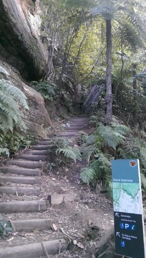 Climb down to the base of 3 sisters, part of the Giant Stairway. Very steep.