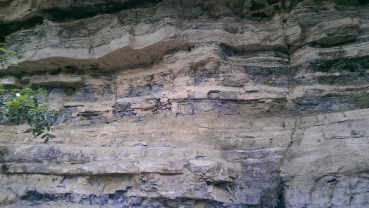 The base of the 3 sisters