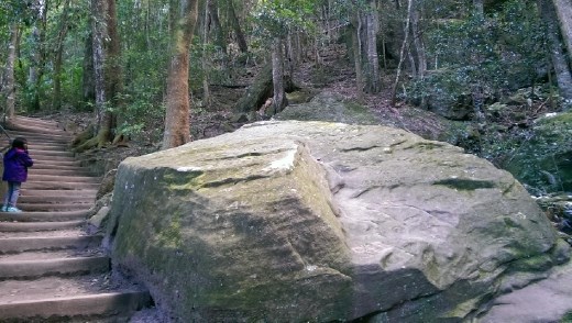 Giant rock at Federal Pass - Cooks Crossing