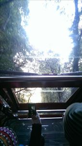 Funicular train up to Scenic World: by macedonboy, Views[353]