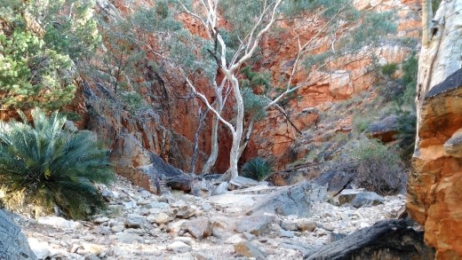 Scene at Standley Chasm