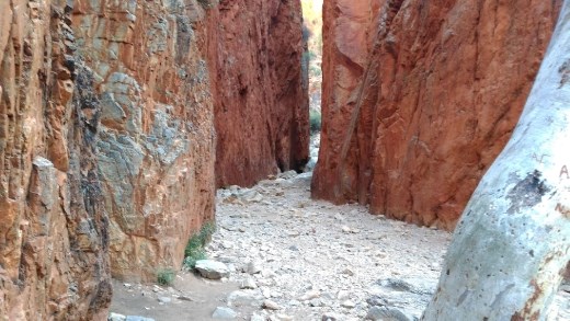 Scene at Standley Chasm