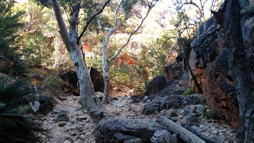 Scene at Standley Chasm