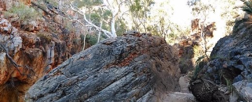 Scene at Standley Chasm