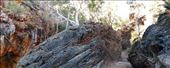 Scene at Standley Chasm: by macedonboy, Views[100]