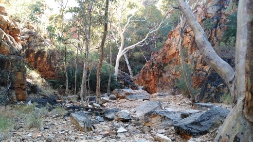 Scene at Standley Chasm