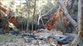 Scene at Standley Chasm: by macedonboy, Views[133]