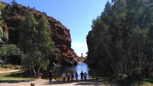 Ellery Creek Big Hole