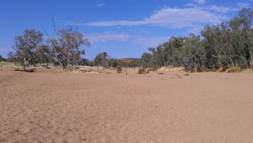 The dry riverbed of Todd River