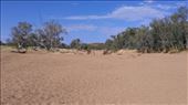 The dry riverbed of Todd River: by macedonboy, Views[175]